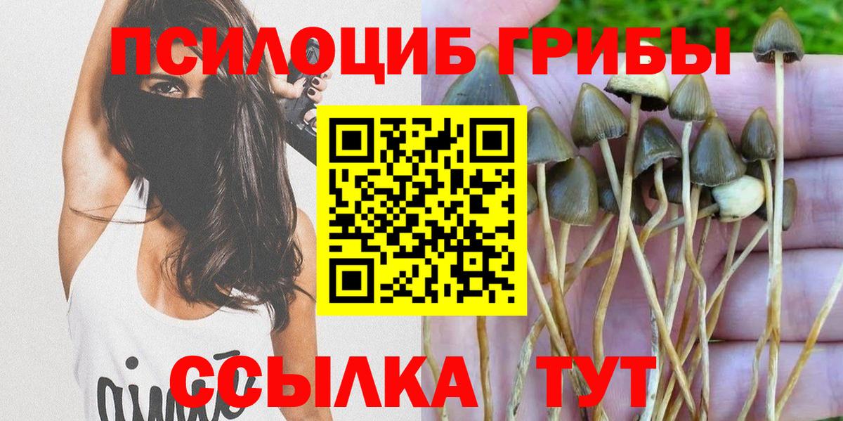 закладка  Галлюциногенные грибы MAGIC MUSHROOMS  Борисоглебск  Вход с VPN  Галлюциногенные грибы Magic Shrooms 